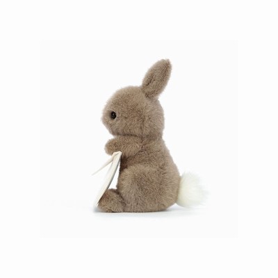 Jellycat Messenger Bunnies New Zealand | HMAUQ3162